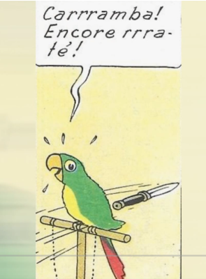 Carrramba encore raté.PNG