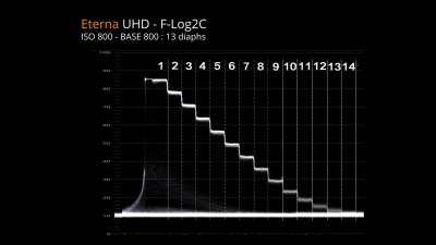 DYN Eterna FLog2C ISO800_7.2.1.jpg