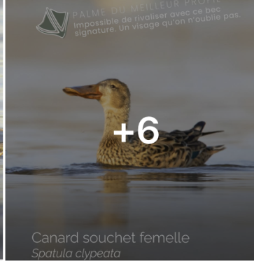 Capture d’écran 2026-05-14 à 14.18.21.png