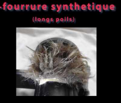 Bonnette 3.PNG