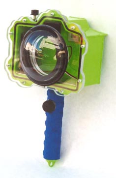 newpistol pour le web.jpg
