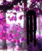 Grigri dans la brume-pink2.jpg