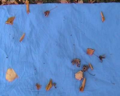 test repaire fond bleu.jpg