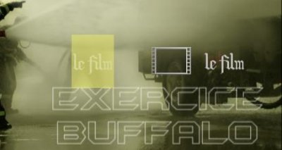buffalo.JPG