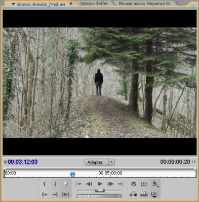 Montage 16_9.jpg