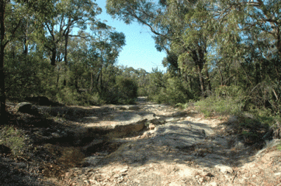 road.gif