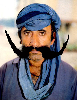 moustach_HF.jpg