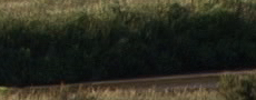 A_50i.png
