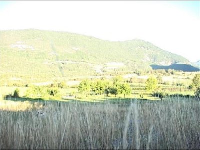 image 1.jpg