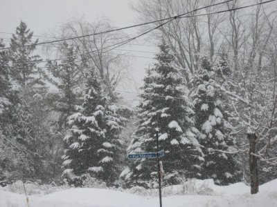 Rue Maurice, Québec C.jpg