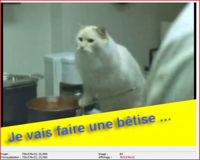 Aïe, aïe, aïe ! 2.JPG
