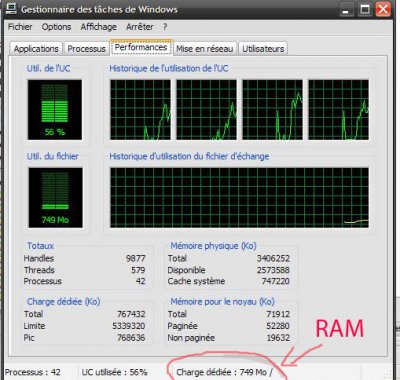 RAM.jpg