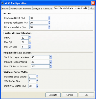 20080627_avidemux_config-x-264_bitrate+debit_progressive.png