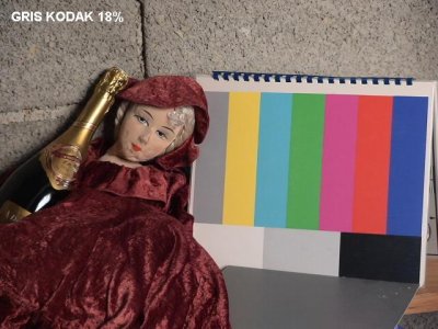Gris Kodak.JPG