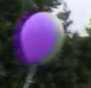 Picture 1.png
