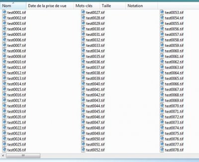 premiere-pro-export-suite-tif.JPG