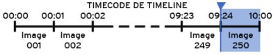 Timeline.jpg