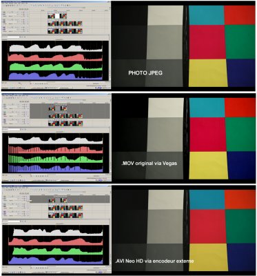 jpeg-mov-avi 01.jpg