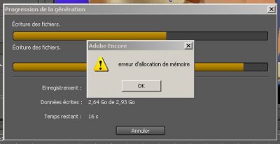 erreur d'allocation de mémoire.jpg