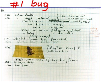 Bug.JPG