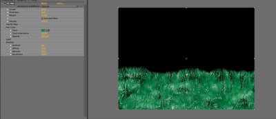 herbe.jpg