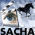 Sacha