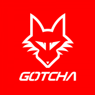 Gotcha26