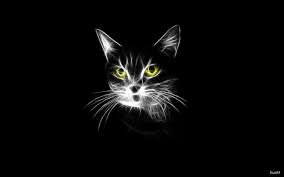 SelmaZ