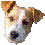 varioflux