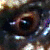 Cyl20
