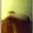 louisothermique