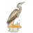 cendretp