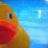 duckproduction