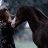 Prettyhorse