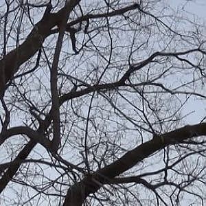 On s est connus on Vimeo