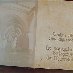 Le bouquiniste "bolegayre" de Montauban