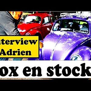 Cox en stock  : Adrien nous partage sa passion pour la Coccinelle