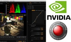 nvidia red 8K newsletter