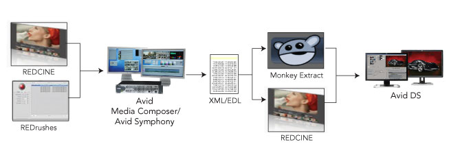 avid-workflow-red.jpg