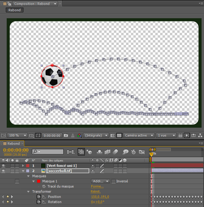 Animation créé par Newton