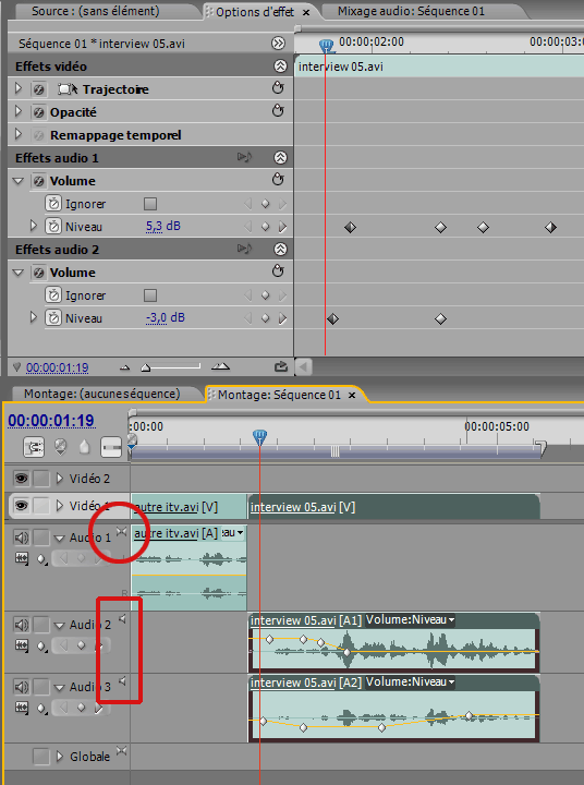volume_audio_separe_ppro_cs3.gif