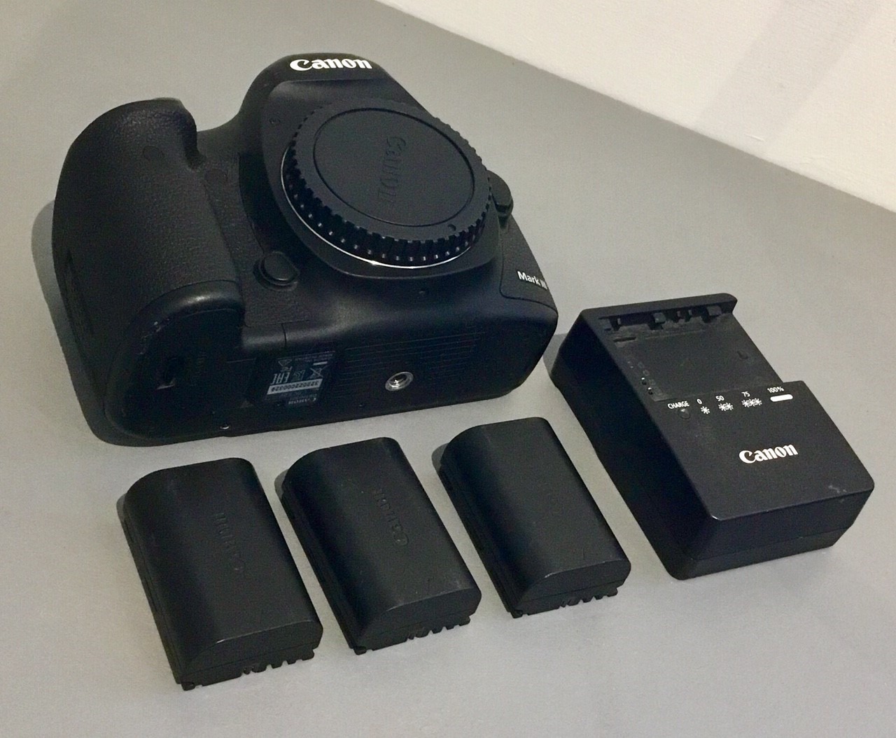 Annonce occasions Canon 5D mark III Le Repaire Le Repaire