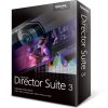 Director Suite 3