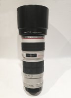 IMG_3622.JPG