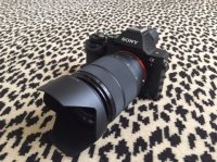 SONY ALPHA 7 + 28-70MM F/3.5-5.6