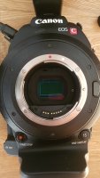 CANON C100