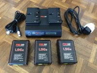 Batteries x3 et chargeur gold mount PAG