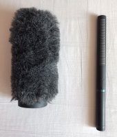 Micro canon Audio-Technica AT897 & bonnette anti-vent