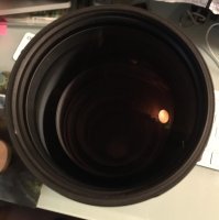 SIGMA 150-600 mm 1:5-6.3 DG CONTEMPORARY  NIKON