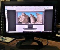 Moniteur pro 24 pouces 10bit Sony LMD-2451W - Très bon état